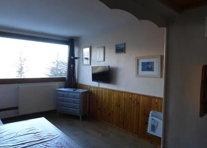 Cosy Pres Des Pistes - 4 Couchages - Fr-1-804-67 *